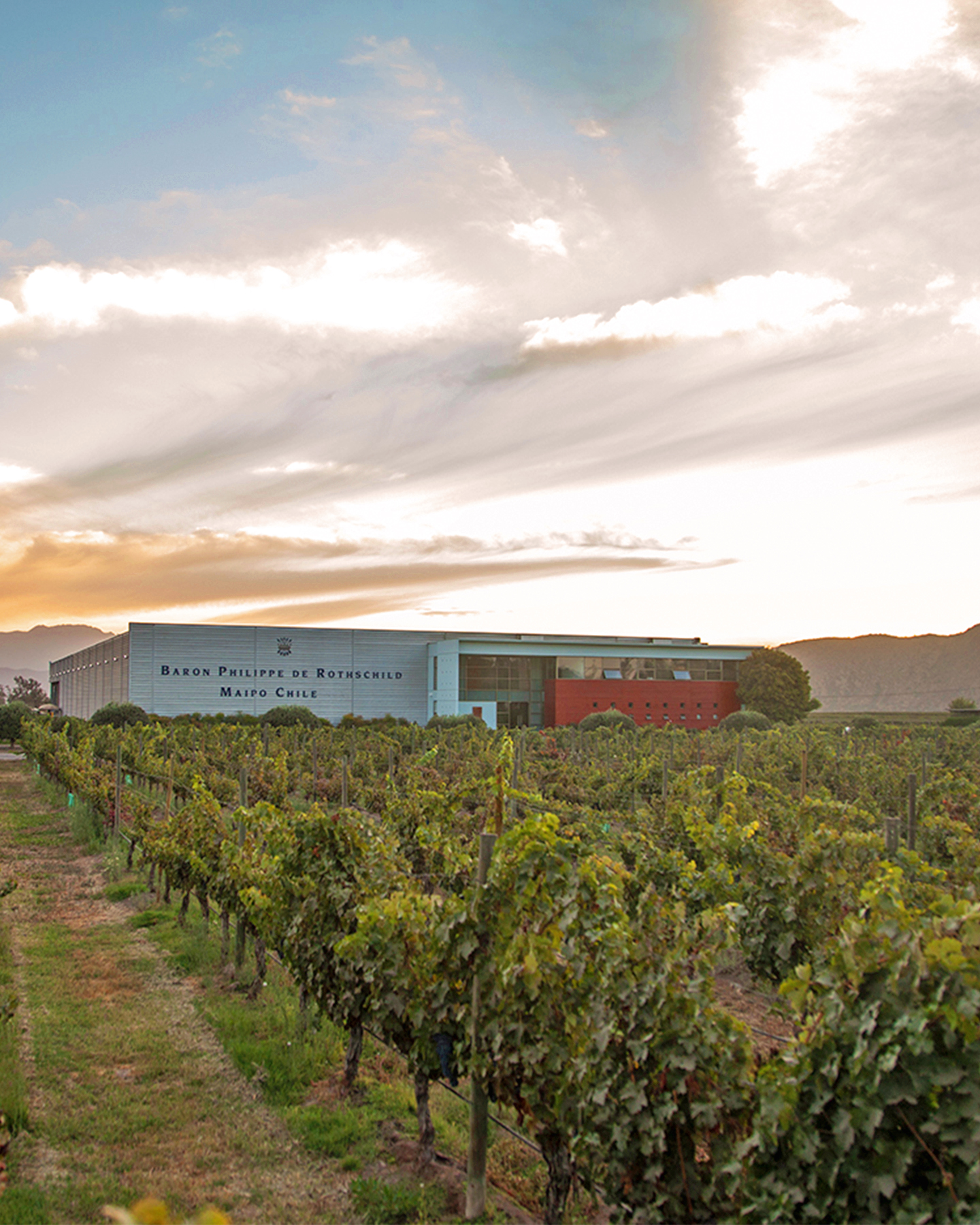 Bodega Baron Philippe de Rothschild Chile