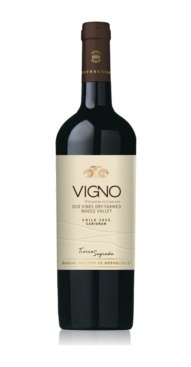 MAPU TIERRA SAGRADA 2023 - MAPU